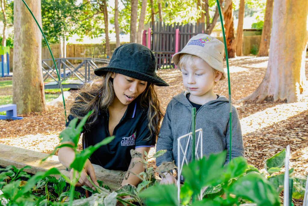 Educator and boy looking at plants at Little Gumnuts Early Learning Group